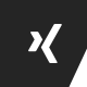 Xing Icon